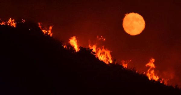 Foto: Imagen de un incendio en Santa Maria, California. (Reuters)