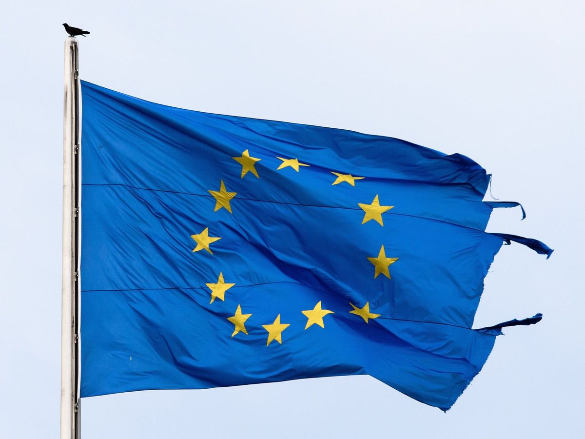 Foto: Vista de un cuervo sobre el mástil de una bandera de la Unión Europea deshilachada. (EFE)