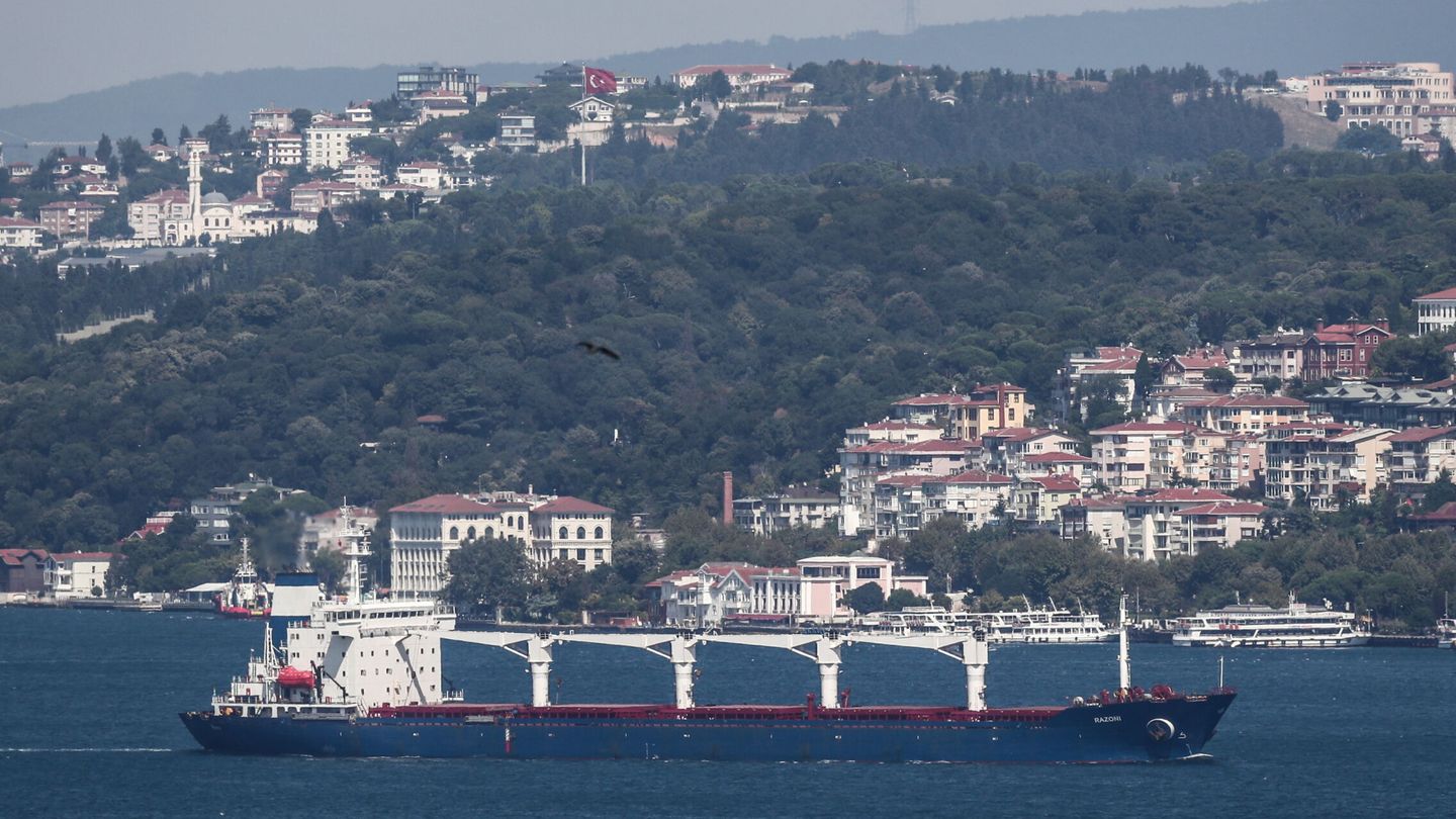El buque Razoni, que salió del puerto de Odesa con el primer envío de cereales para la exportación, llegó frente al distrito de Kilyos, cerca del Mar Negro de Estambul, Turquía.(EFE/EPA/Sedat Suna) 