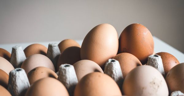 Foto: Los huevos, una de las proteínas más completas.