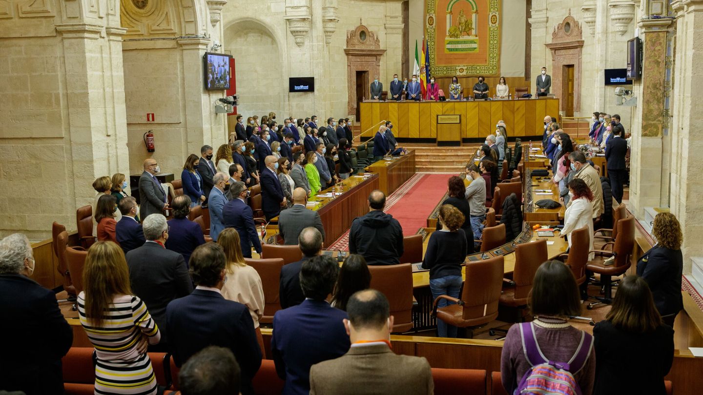 Vista del pleno del Parlamento andaluz, que deberá ahora aprobar la nueva Ley de Función Pública. (EFE/Julio Muñoz)