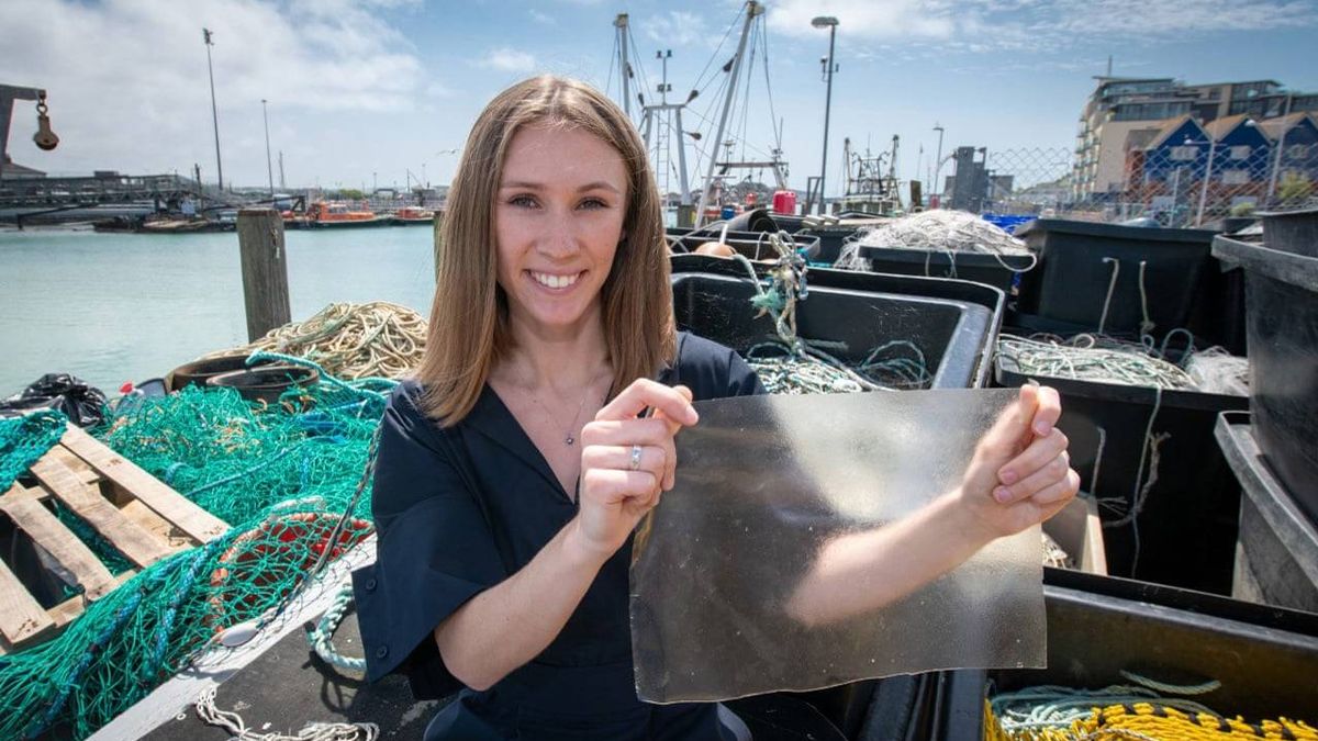 Crean un sustituto del plástico a partir de deshechos de pescado