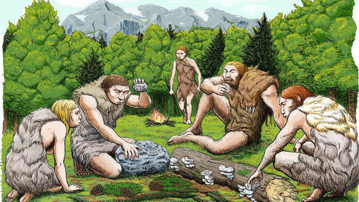 Los neandertales asturianos eran vegetarianos y tomaban 'aspirinas'