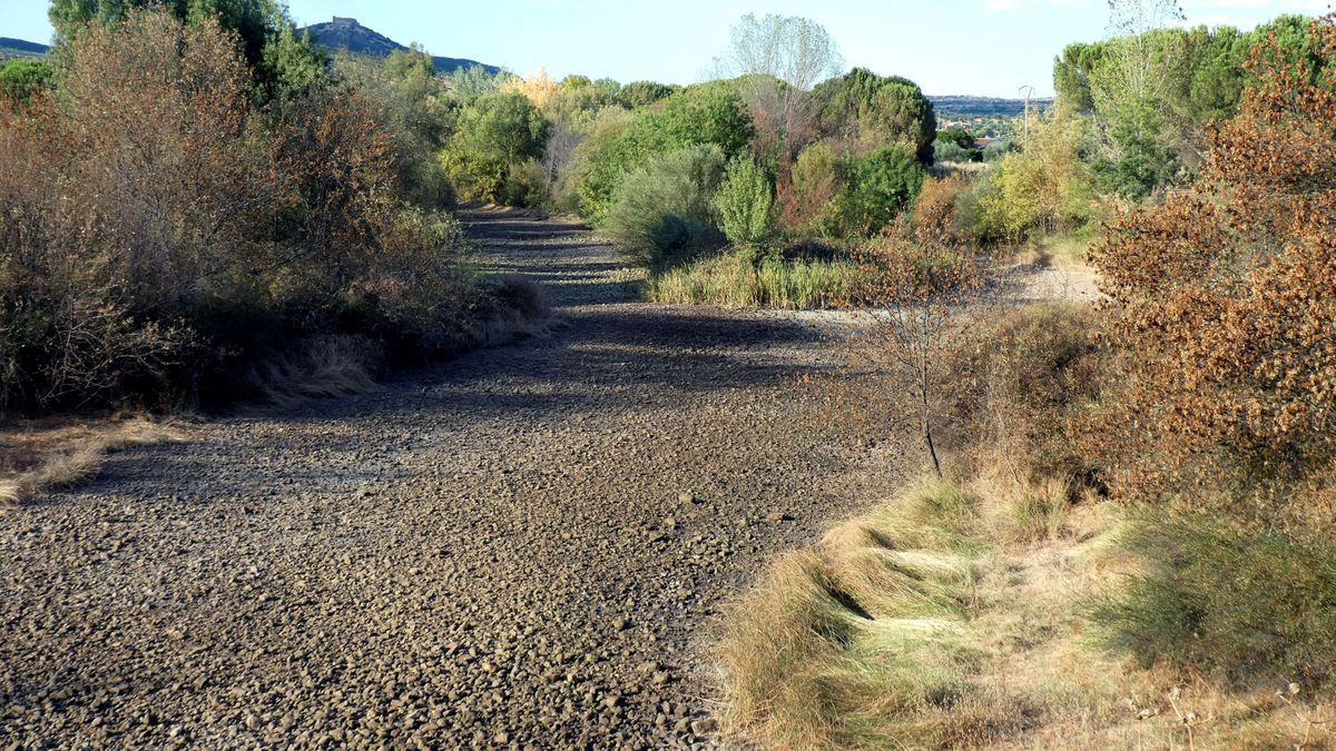 Más de la mitad de los ríos y arroyos de la Tierra ya se secan durante parte del año