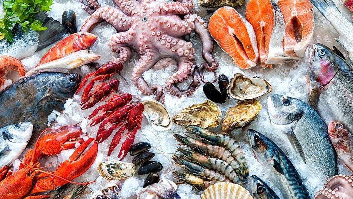 Estos son los pescados que contienen más mercurio: cuidado antes de comerlos