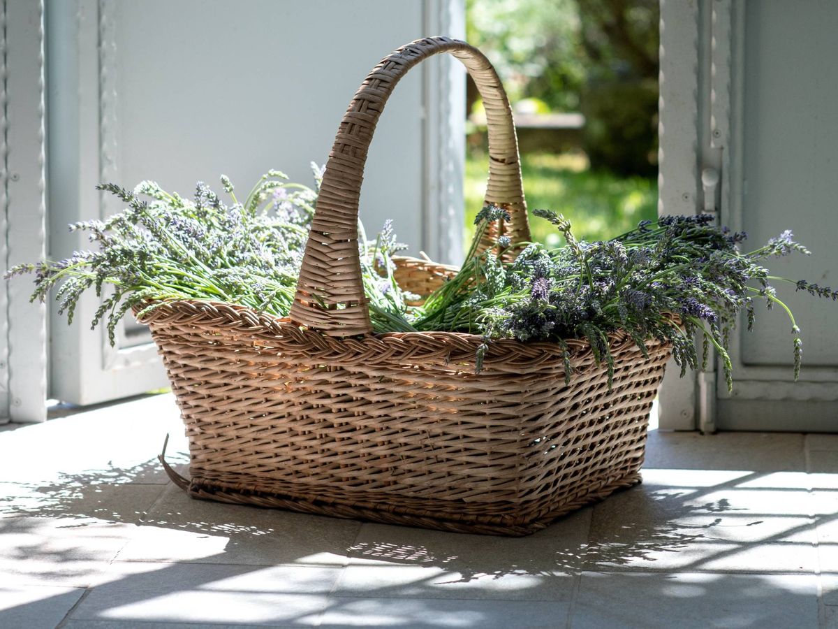 Foto: Enamórate de las cestas de decoración de Zara Home. (Elena Kloppenburg para Unsplash)