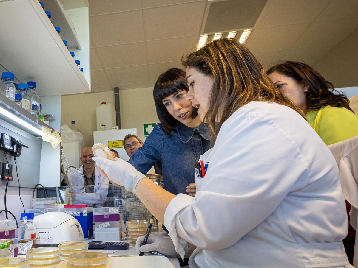 Foto: La ministra de Ciencia, en un laboratorio. (EFE/Raquel Manzanares)