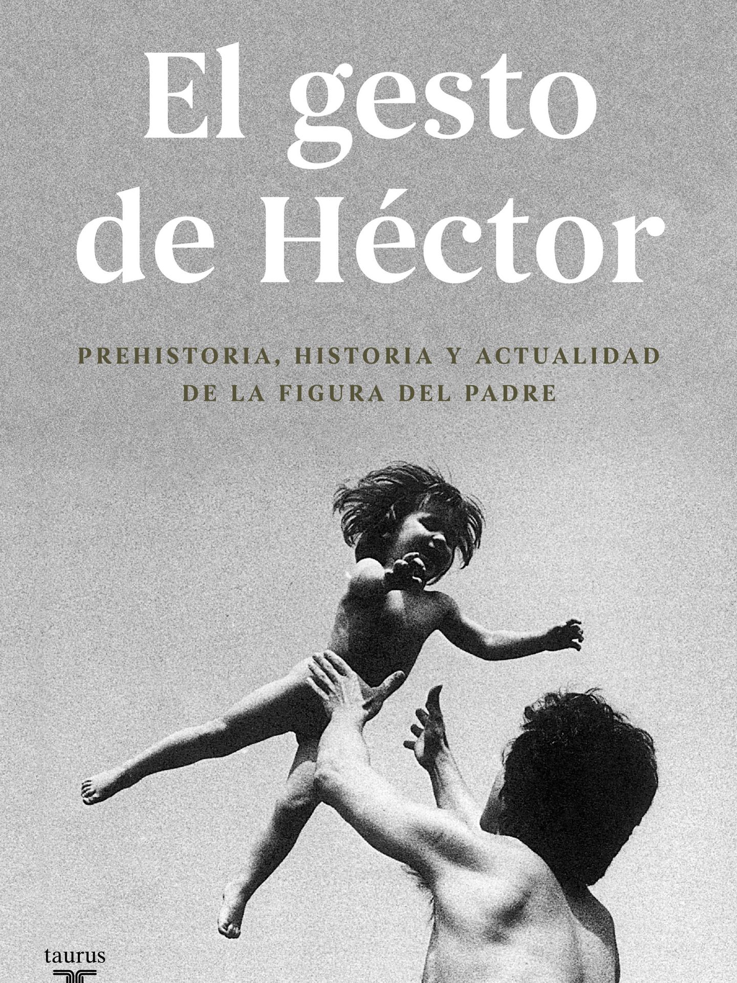 'El gesto de Héctor'