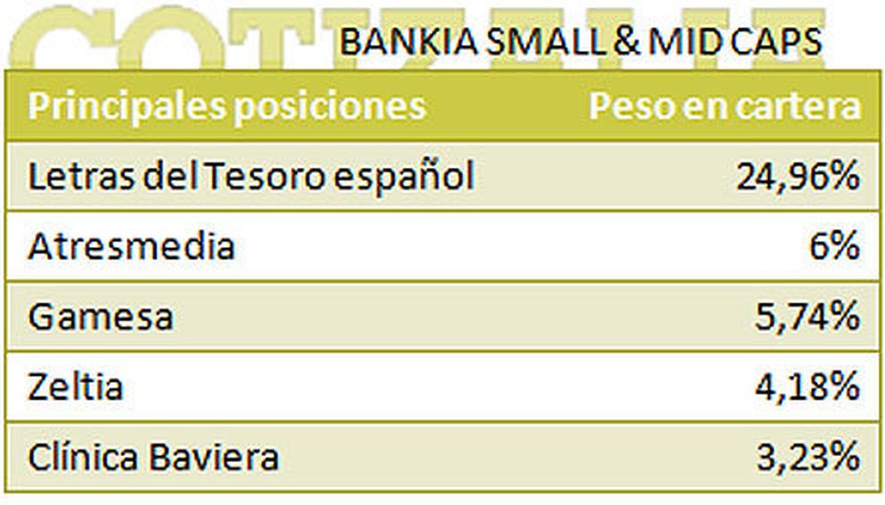 Principales posiciones del fondo Bankia Small & Mid Caps