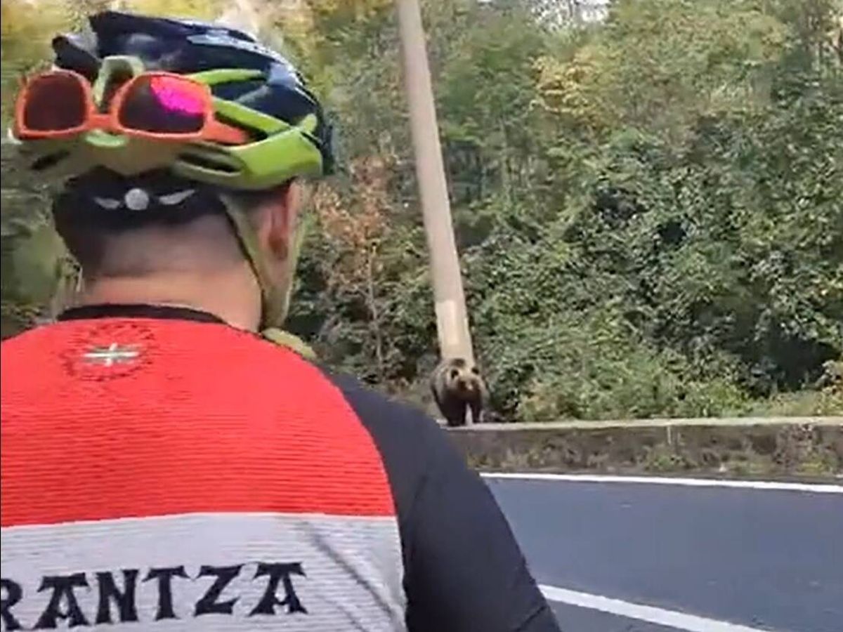 Foto: Uno de los ciclistas frente al oso (@lasgafasdesolda).