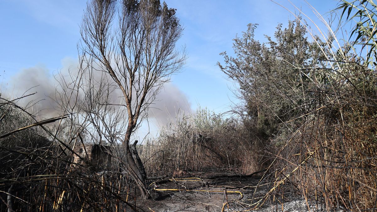 Localizan un cadáver al extinguir un incendio de vegetación en Madridejos (Toledo)