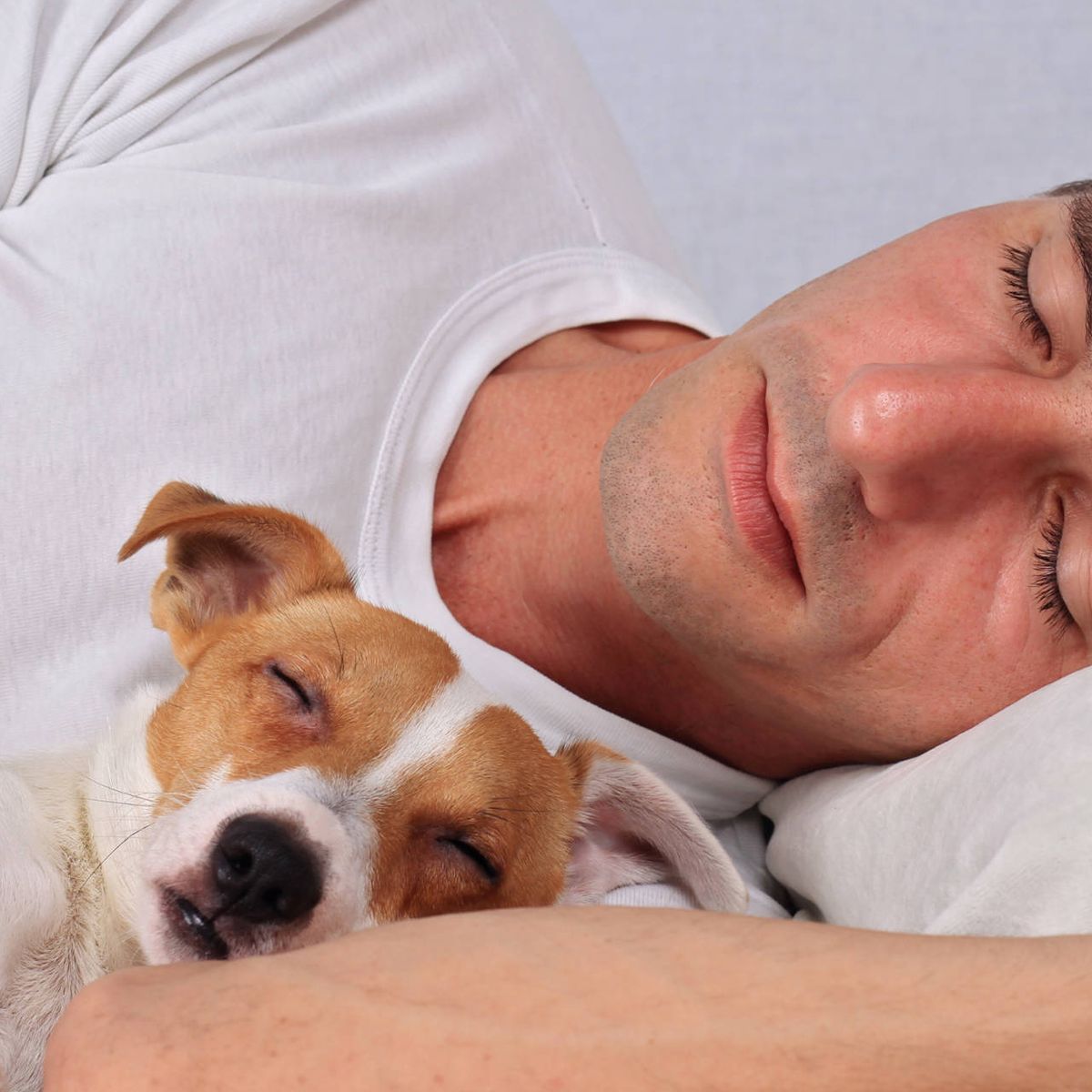 Tu perro duerme la cama contigo? Estas son ventajas y