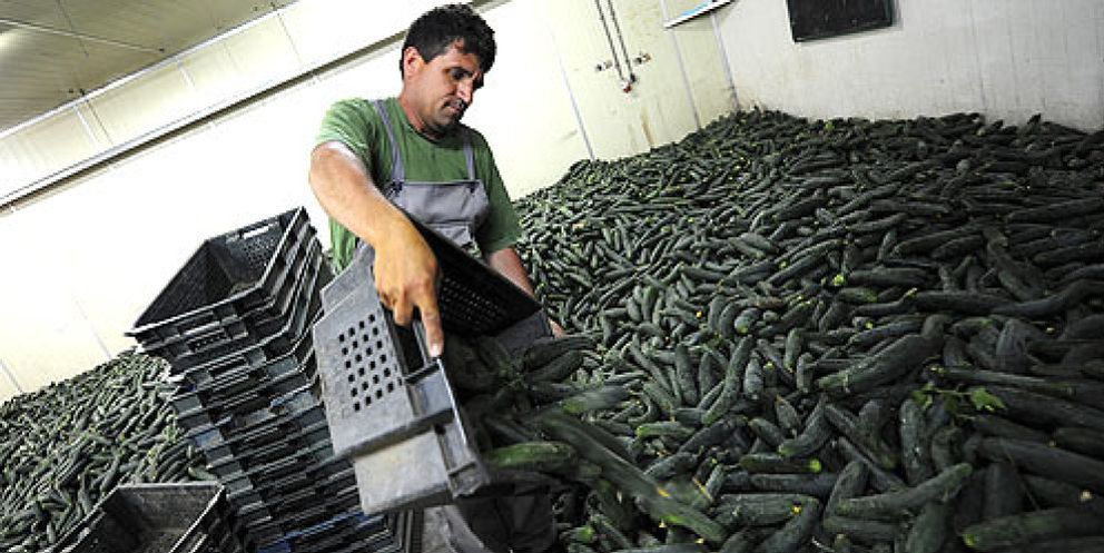 Foto: La UE aprueba 210 millones de ayudas a los agricultores pese al rechazo de España