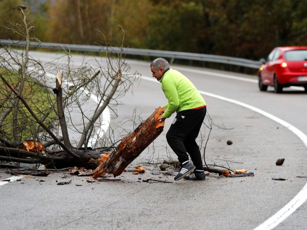 Foto: Un hombre retira un árbol caído en la carretera LU-530, que une las localidades de O Cadavo con A Fonsagrada, en la provincia de Lugo. (EFE)