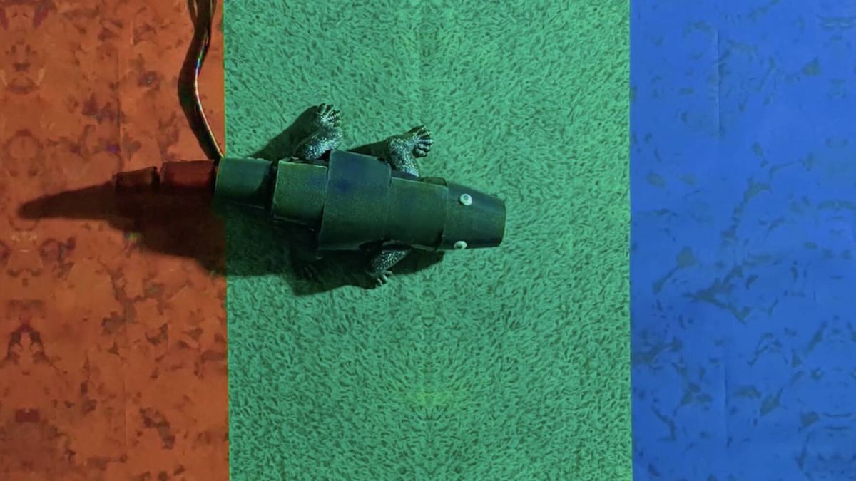 La tecnología que puede hacer que tanques y aviones se camuflen como camaleones