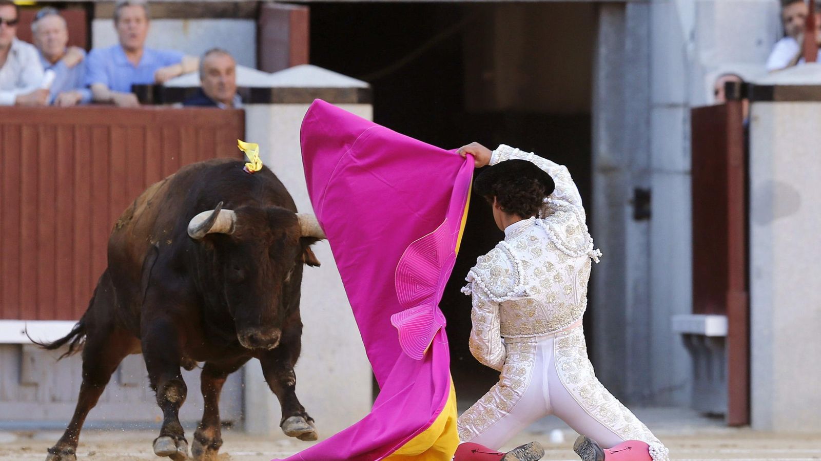 Foto: El diestro Miguel Abellán recibe a su primer toro. (EFE)