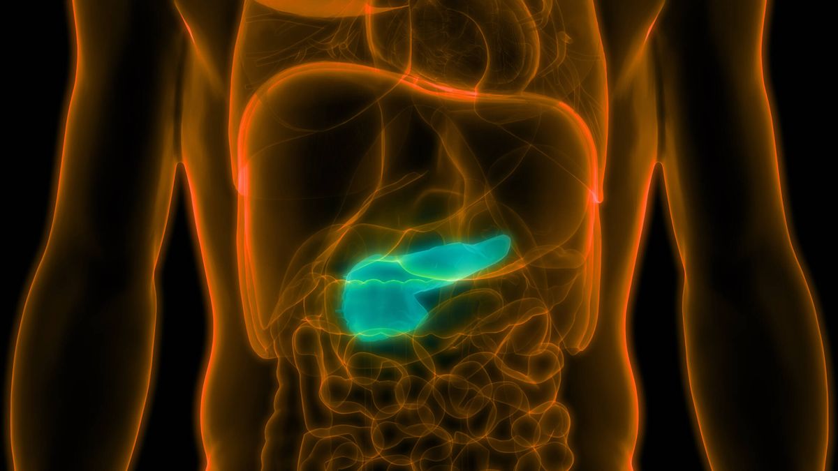 Guía completa del cáncer de páncreas: síntomas, tratamientos, tipos, avances y cirugías