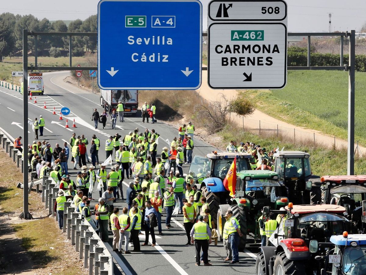 Foto: Protesta de los agricultores andaluces. (EFE/José Manuel Vidal)