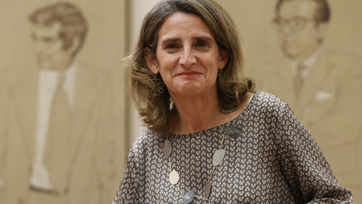 La ministra de Transición Energética, Teresa Ribera. (EFE)