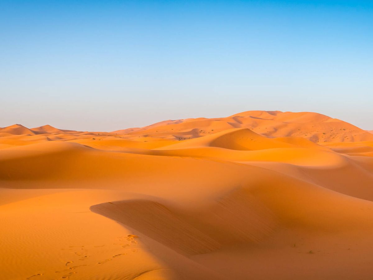 Foto: El desierto acoge verdaderas maravillas debajo de miles de toneladas de arena (Wirestock para Freepik)