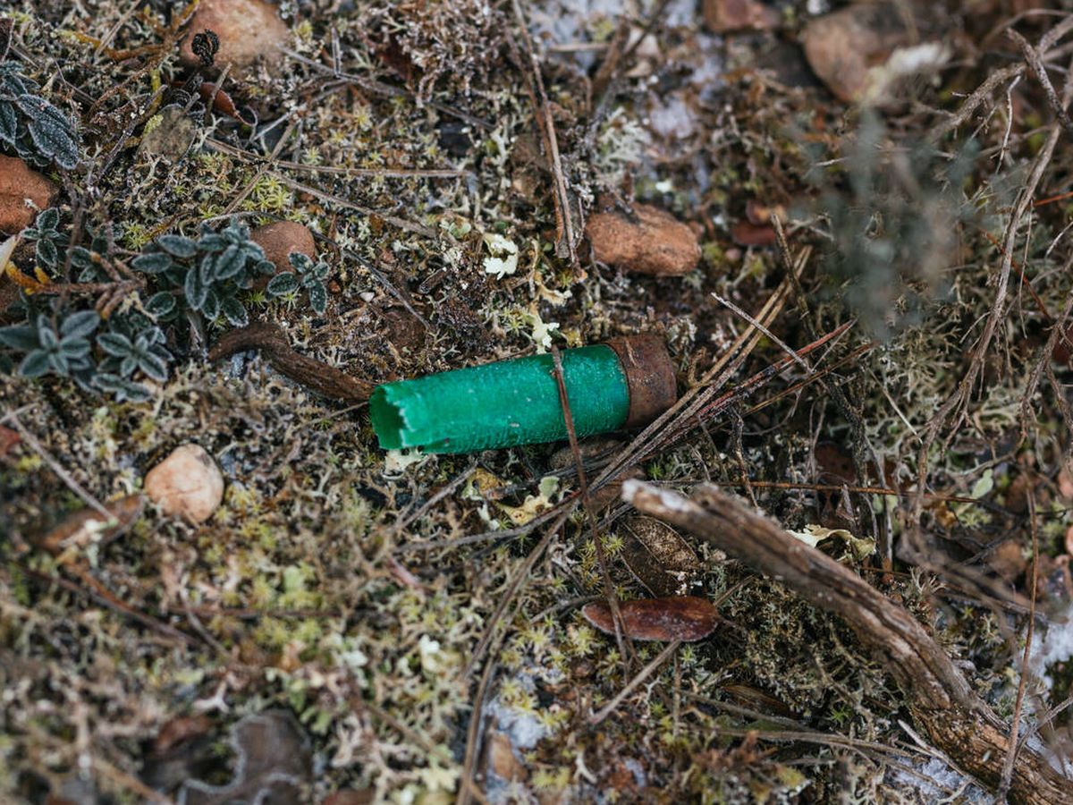 Foto: Un cartucho de escopeta tirado en el campo. (iStock)