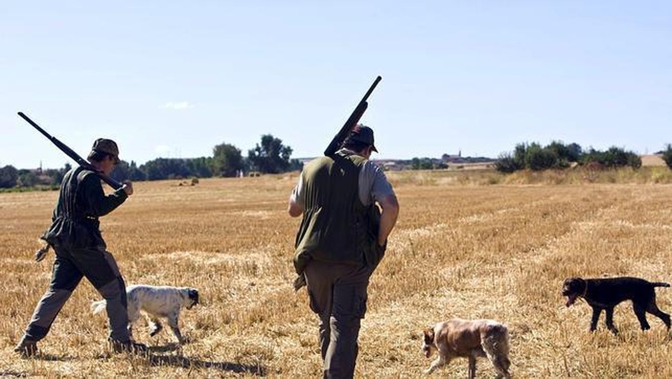 El Magrama quiere establecer una licencia única de caza para toda España. 