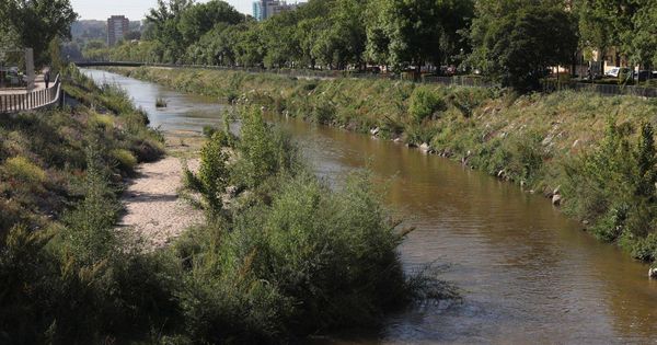 Foto: El río Manzanares, tras las labores de renaturalización en uno de sus tramos urbanos. (Ayuntamiento de Madrid)