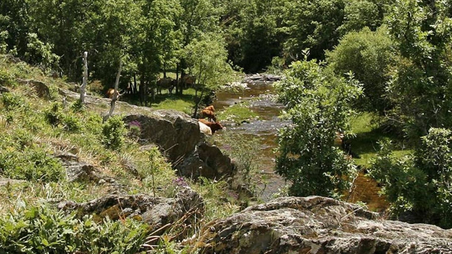El río Jarama te ofrecerá el frescor de esta ruta en verano. (Sierra Norte Madrid)