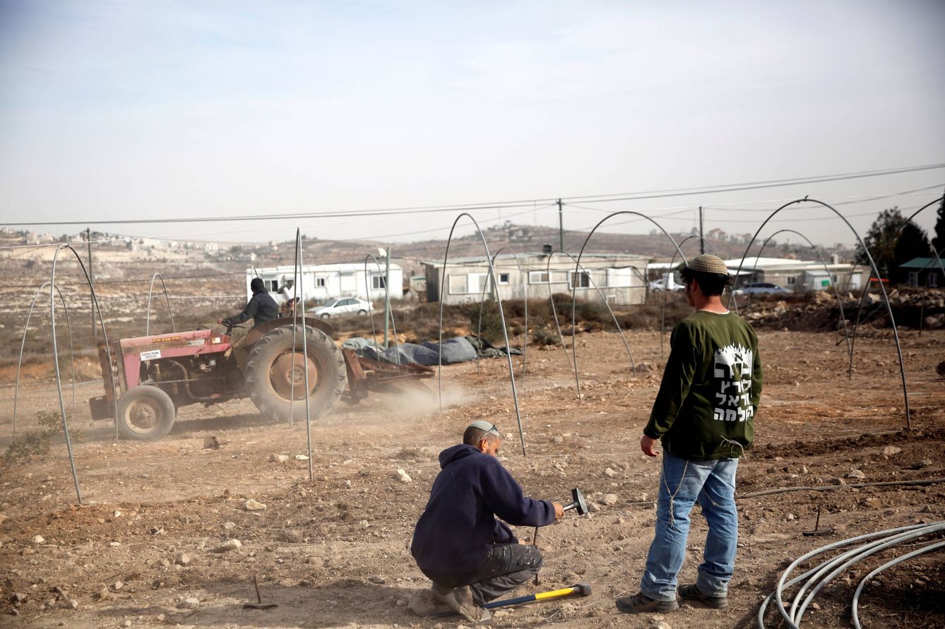 Jóvenes israelíes erigen marcos de tiendas de campaña para prepararse para el desmantelamiento de la colonia, el 22 de noviembre de 2016 (Reuters). 