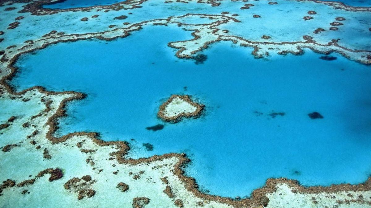 La última idea para salvar la Gran Barrera de Coral: declararla "ciudadana australiana"