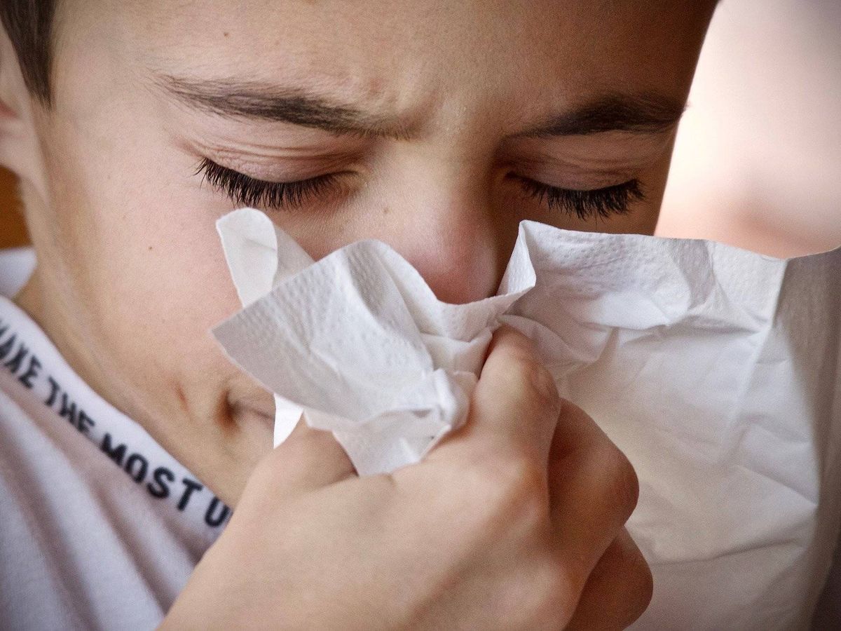 Foto: Una lesión en el revestimiento nasal,causada por resfriados o alergias, puede aumentar la invasión bacteriana. Foto: Pixabay 