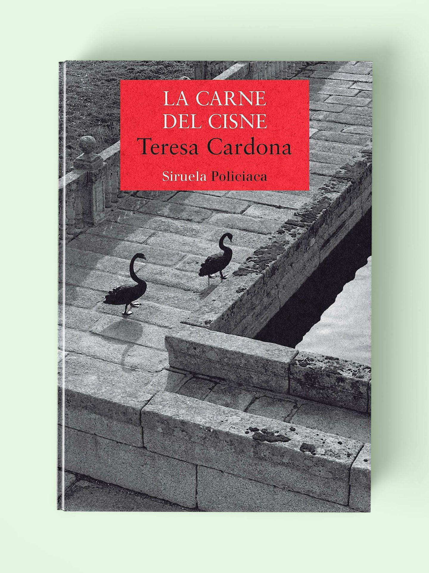 'La carne del cisne', de Teresa Cardona. 