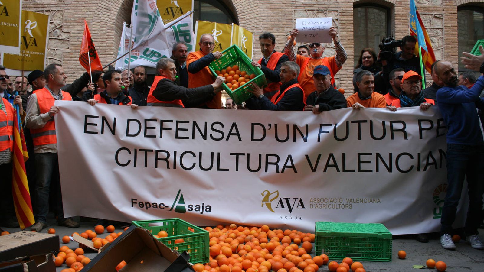 Foto: Protesta de agricultores frente a la Conselleria de Agricultura. (AVA)