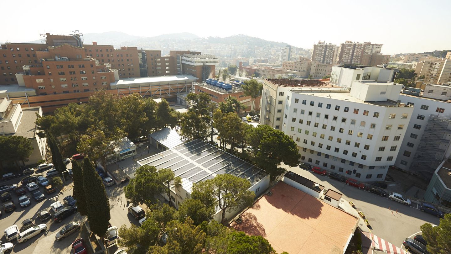 El hospital Vall d'Hebrón logró el milagro. (EFE)