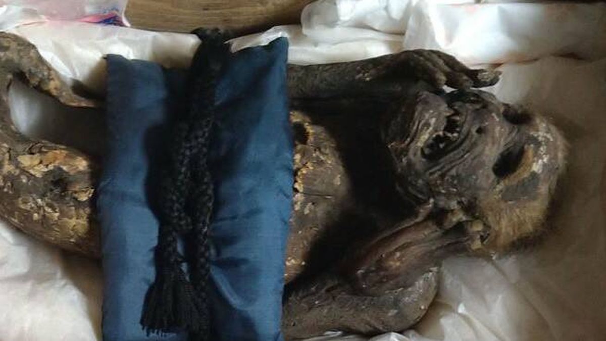 ¿Un mono sirena? Por fin sabemos qué tipo de criatura es esta extraña momia del año 1740