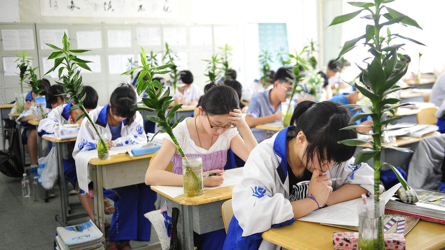 Universitarios chinos hacen el temible 'gao kao', la selectividad. (EFE)