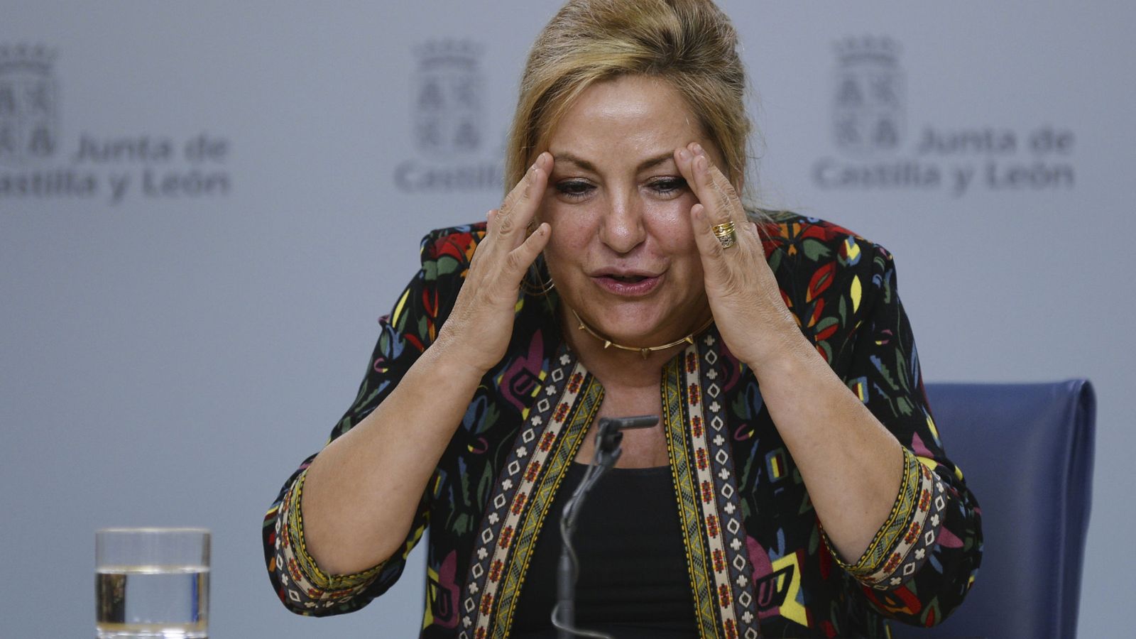 Foto: La vicepresidenta de Castilla y León, Rosa Valdeón, durante la rueda de prensa. (EFE)
