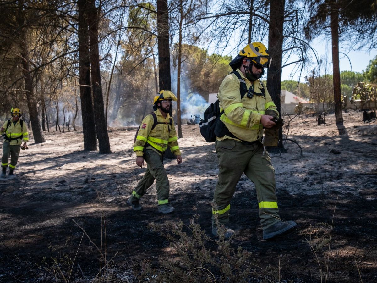 Foto: Bomberos forestales del Plan Infoca, trabajando en un incendio en Huelva. (EFE)