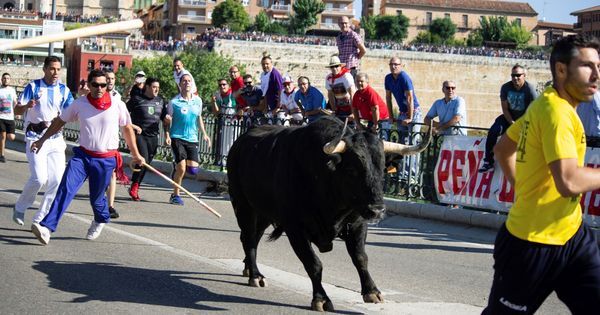 Foto: Tordesillas celebra el Toro de la Vega. (EFE)