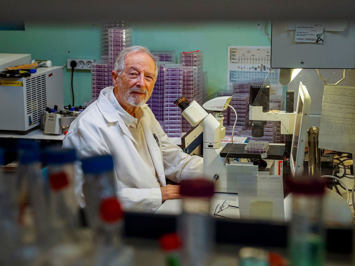 Foto: Luis Enjuanes, del laboratorio de Coronavirus del Centro Nacional de Biotecnología (Emilio Naranjo / EFE)