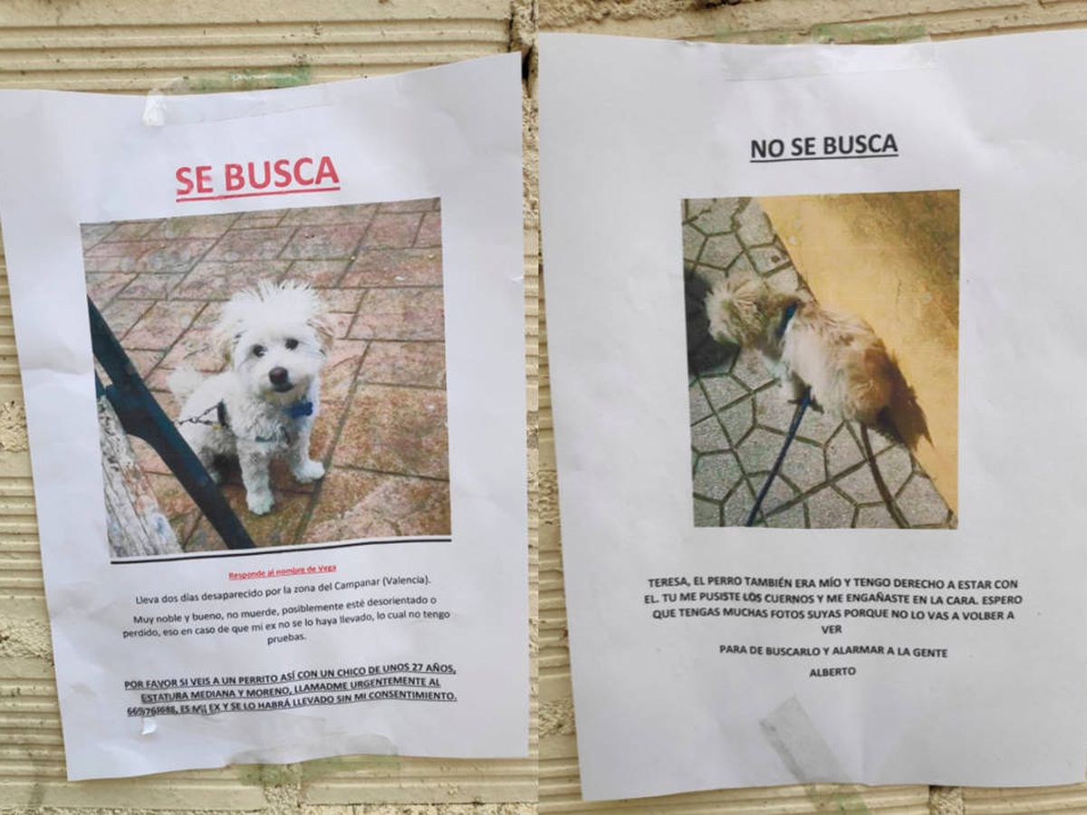 Foto: Los dos carteles que se han hecho virales: SE BUSCA y NO SE BUSCA (Twitter)