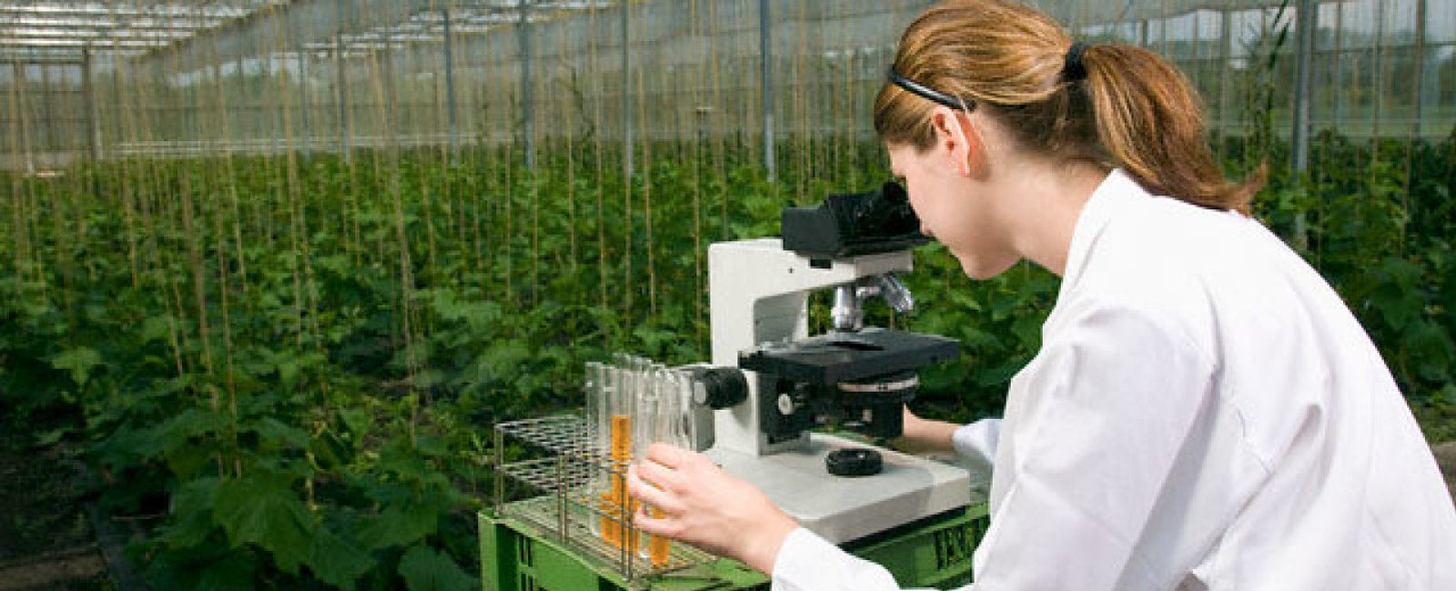Foto: Una empresa biotecnológica española lidera la detección de patógenos y toxinas