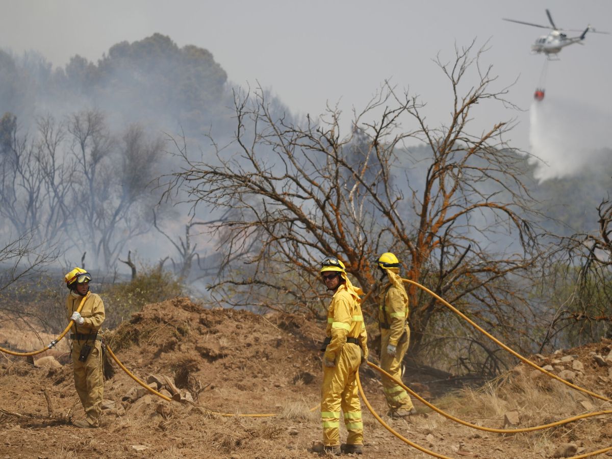 Foto: Incendio forestal en Ateca. (EFE/Javier Cebollada)