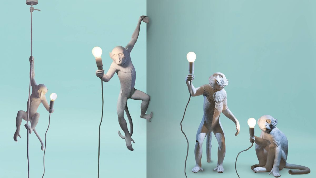 Adopta un mono: una lámpara 'salvaje' convertida en la compañera de piso perfecta