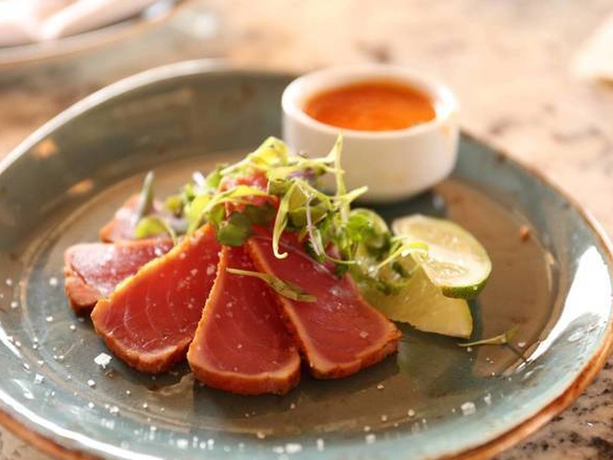 Foto: ¿Es la dieta del atún la adecuada para ti? (Taylor Grote para Unsplash)