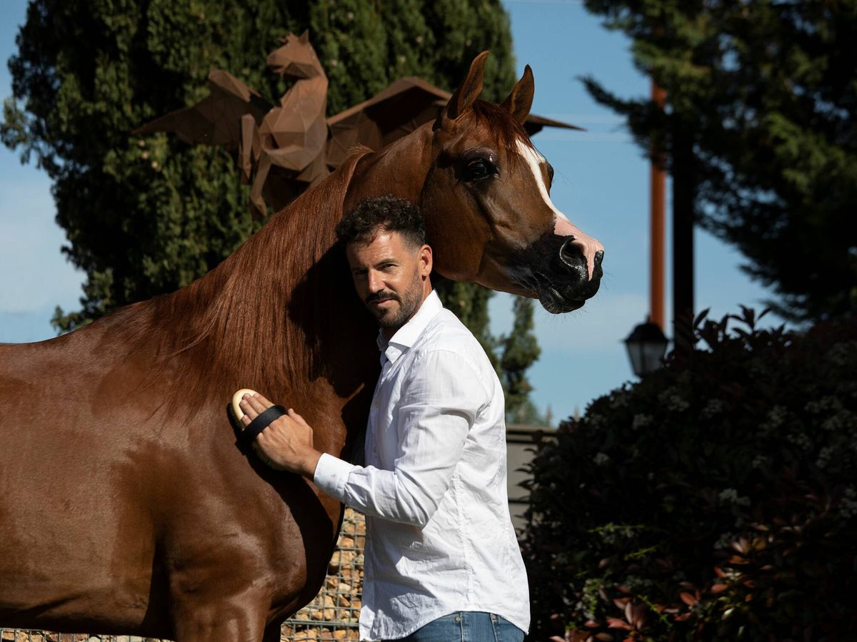 Foto: Santi Serra cepilla a uno de sus caballos. (Cortesía)