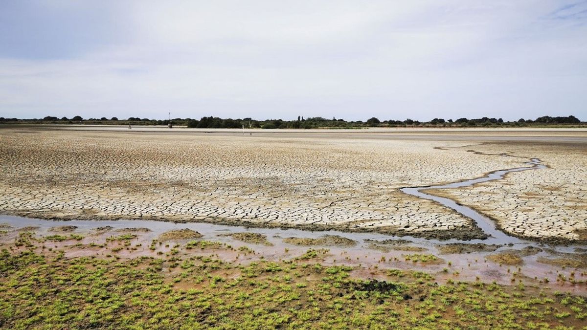 Más de 1.600 científicos suscriben un manifiesto contra la Ley de regadíos de Doñana