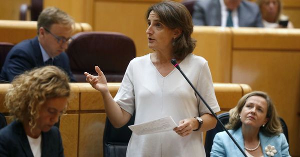 Foto: La ministra de Transición Ecológica, Teresa Ribera, en el Senado. (EFE)