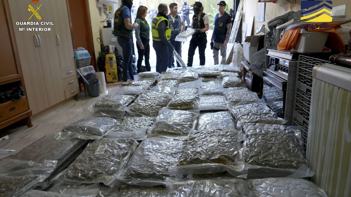 Detenidos con 55 kilos de marihuana en una autocaravana seguida por la Policía de Sanlúcar a Mérida