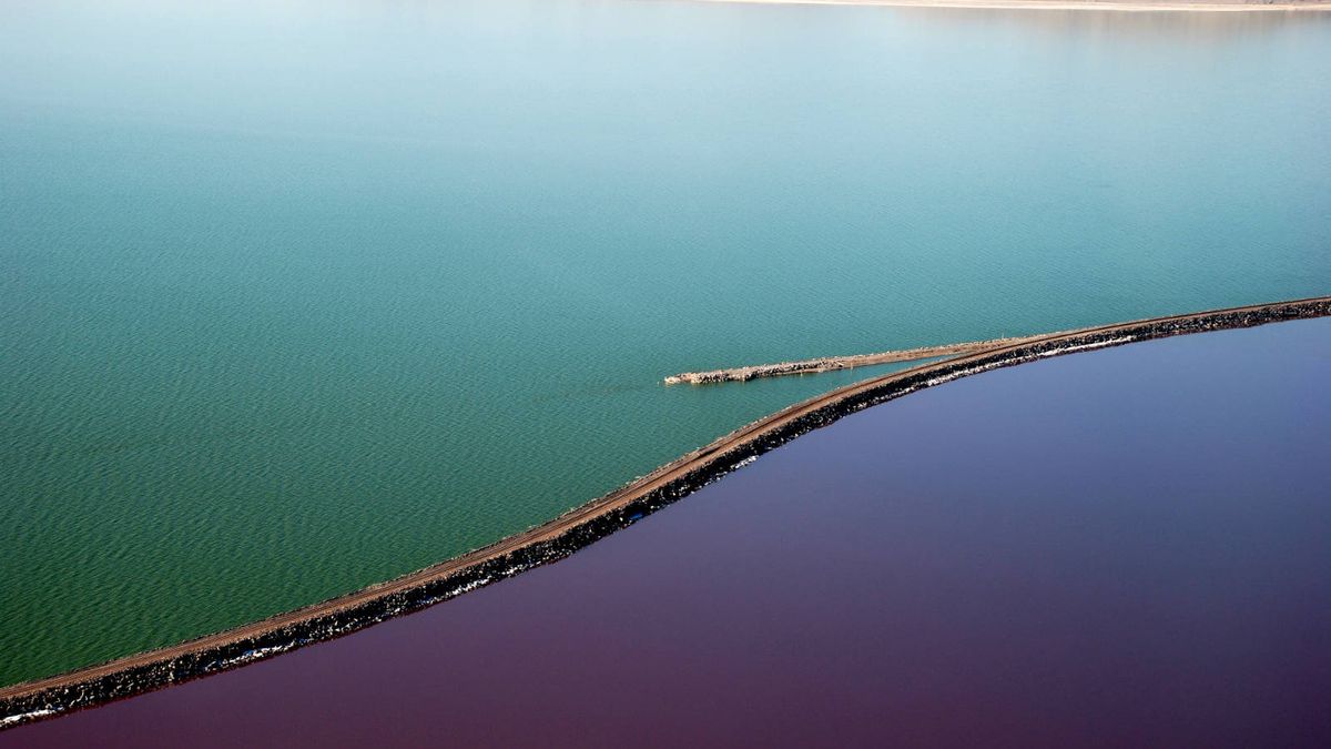 La mitad de este lago ha desaparecido por el ser humano (y el pato lo pagan las aves)